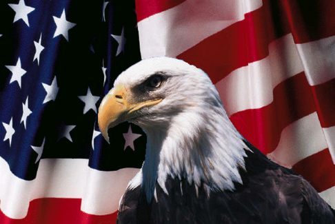 Eagle and American Flag